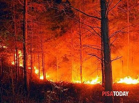 Prosegue La Raccolta Fondi Per Le Vittime Dell’Incendio Dei Monti Pisani