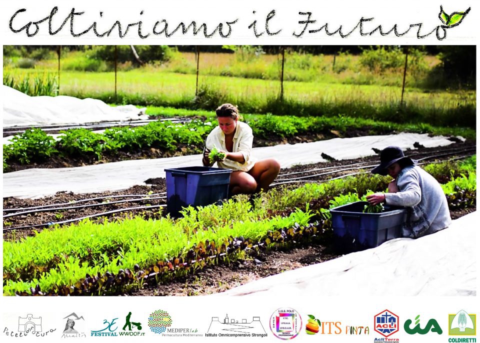 Coltiviamo il Futuro –  progetto pilota per l’inserimento guidato dei giovani nell’agricoltura organica.