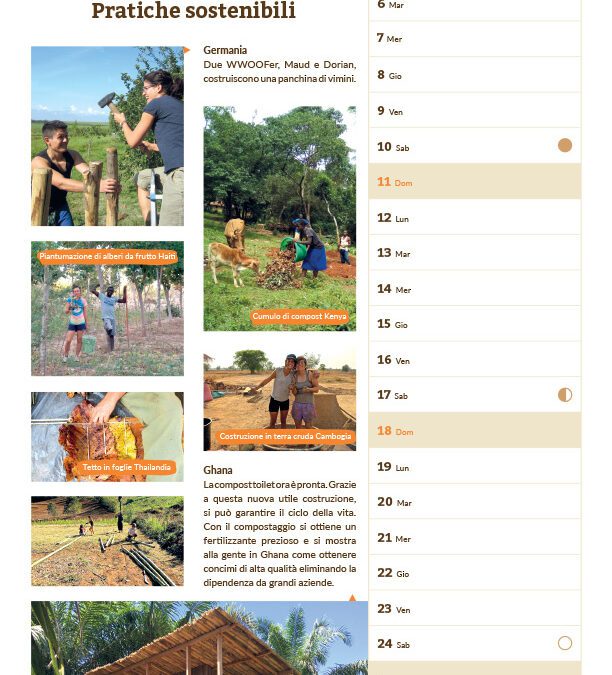 Il Calendario di Luglio