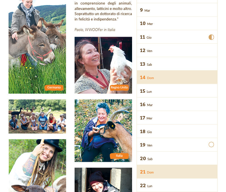 Novembre: la pagina del Calendario è dedicata alla relazione di cura con gli animali