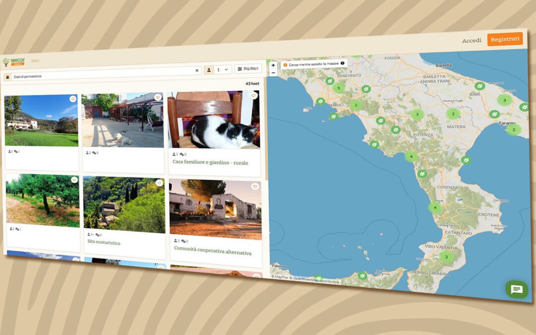 Siamo online con la nuova piattaforma!