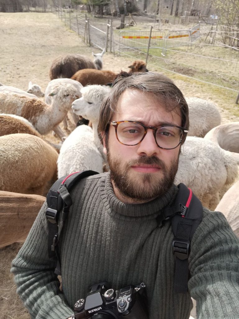 Federico con gregge di alpaca