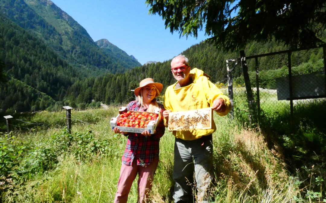 Cerchi lavoro stagionale in montagna?
