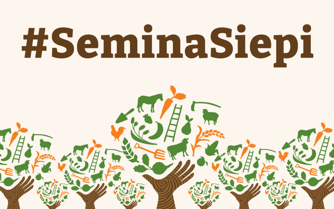 Appointments and News from Seminasiepi