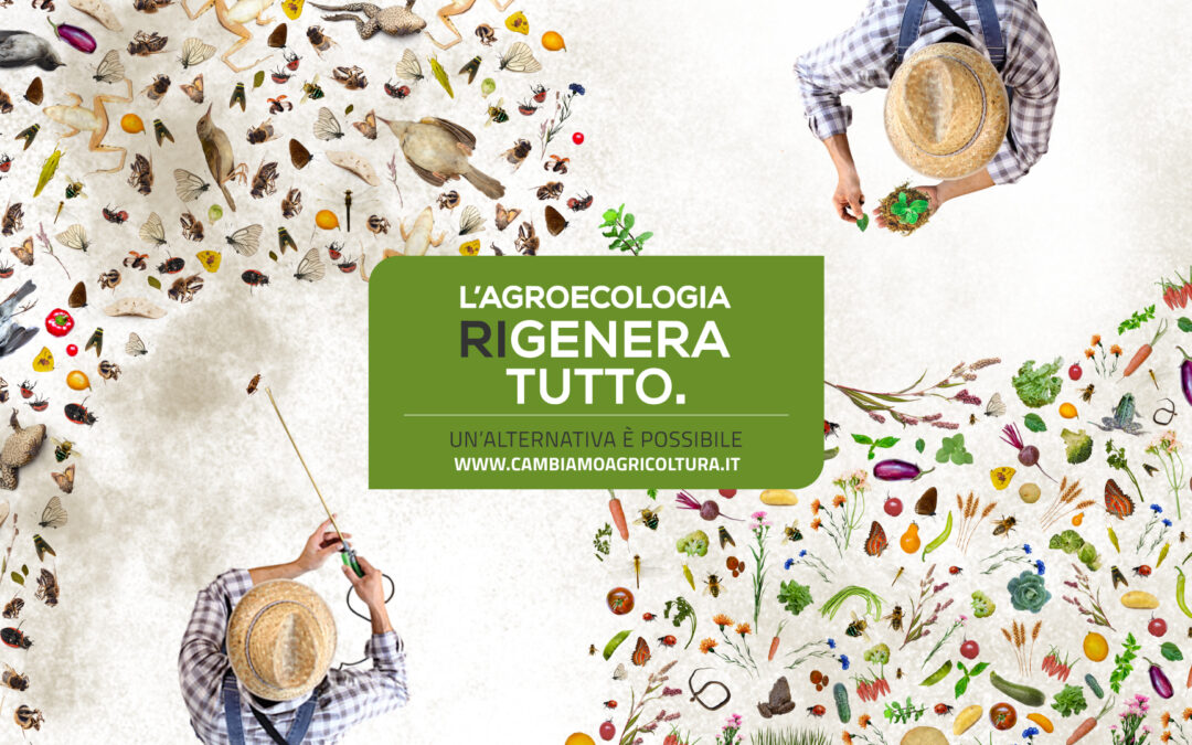 NEED TO PUSH THE ACCELERATOR OF AGROECOLOGICAL TRANSITION OF AGRICULTURE IN ITALY