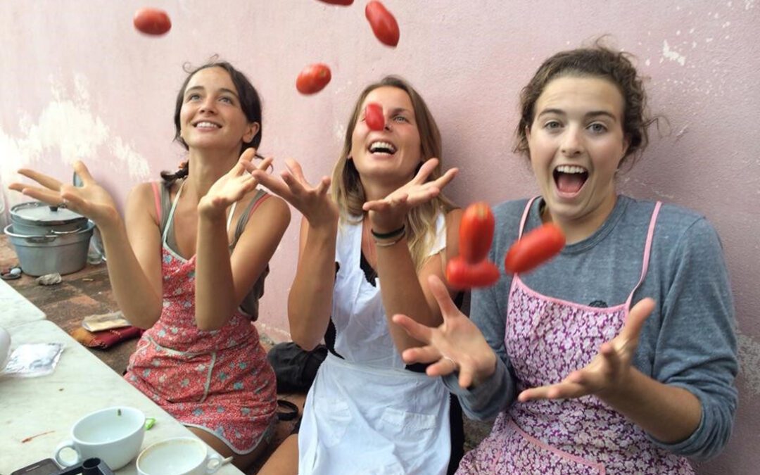 Europa in treno e wwoofing: scopri DiscoverEU 2026!