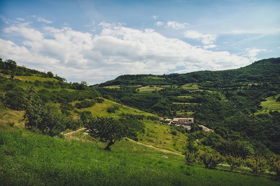 Progetto agro silvo pastorale sulle colline a est di Verona