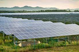 Ground-based solar is by no means painless for the soil.