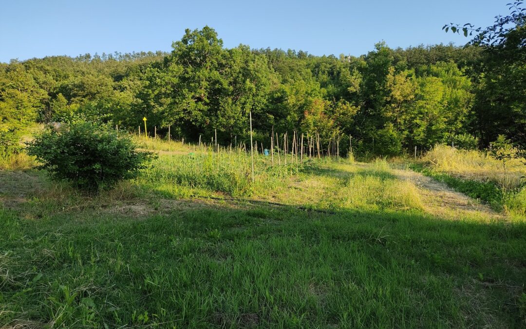 Rustic house with land for sale 3km from Riccò (MO)