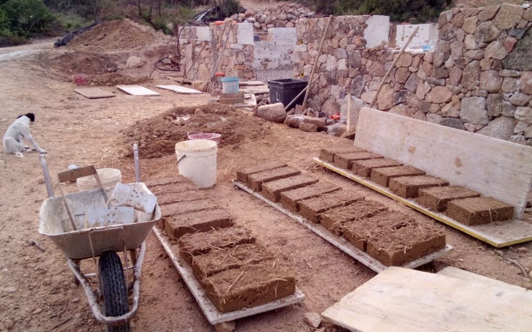 Self-construction in green building with local materials