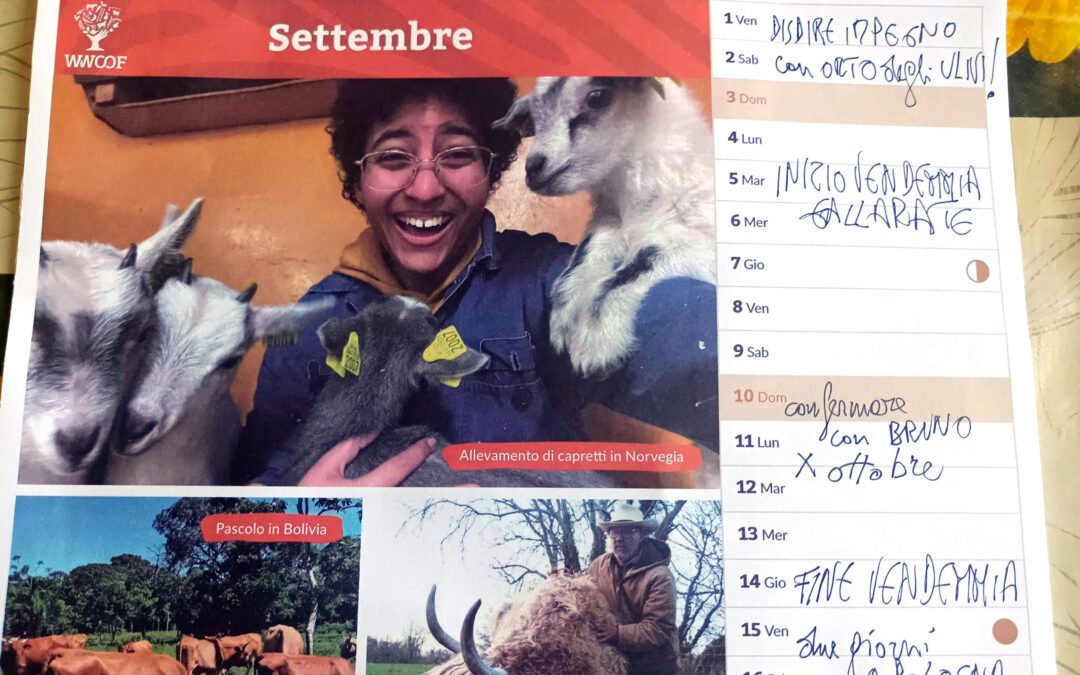 Suggerimenti per gestire le tue richieste di visita