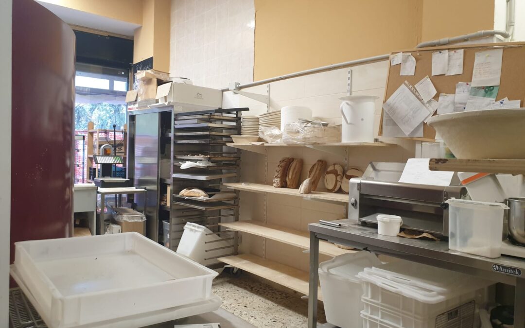 FOR SALE fast-growing artisan bakery business in BOLOGNA