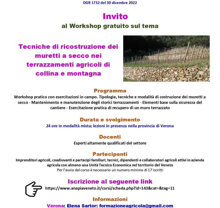 Techniques of dry stone wall reconstruction in hill and mountain agricultural terraces
