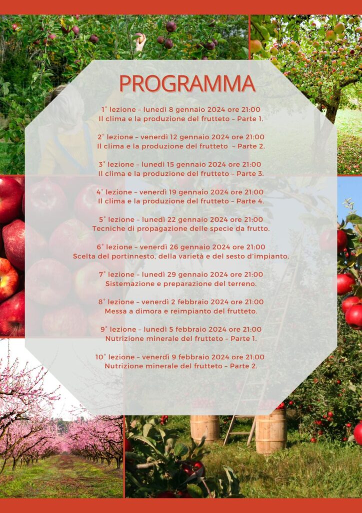 program 1
