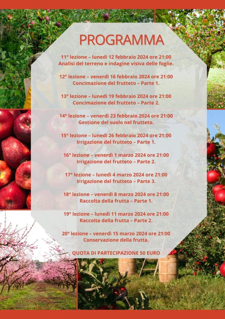 program 2