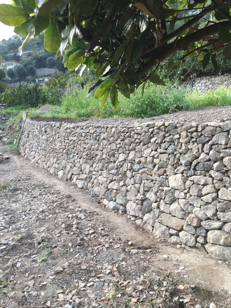 corso grimaldi
