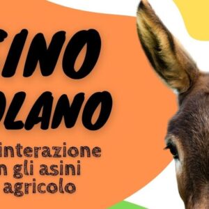 L’ASINO ORTOLANO titolo