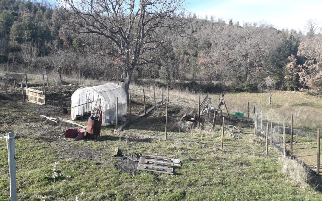 Su con la Vita Nuova!