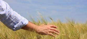 Ascoltiamo le ragioni dei protagonisti del mondo delle produzioni agricole