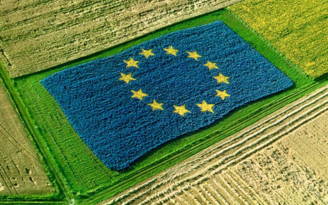 Nuovi OGM: 42 organizzazioni italiane chiedono agli europarlamentari un voto contrario