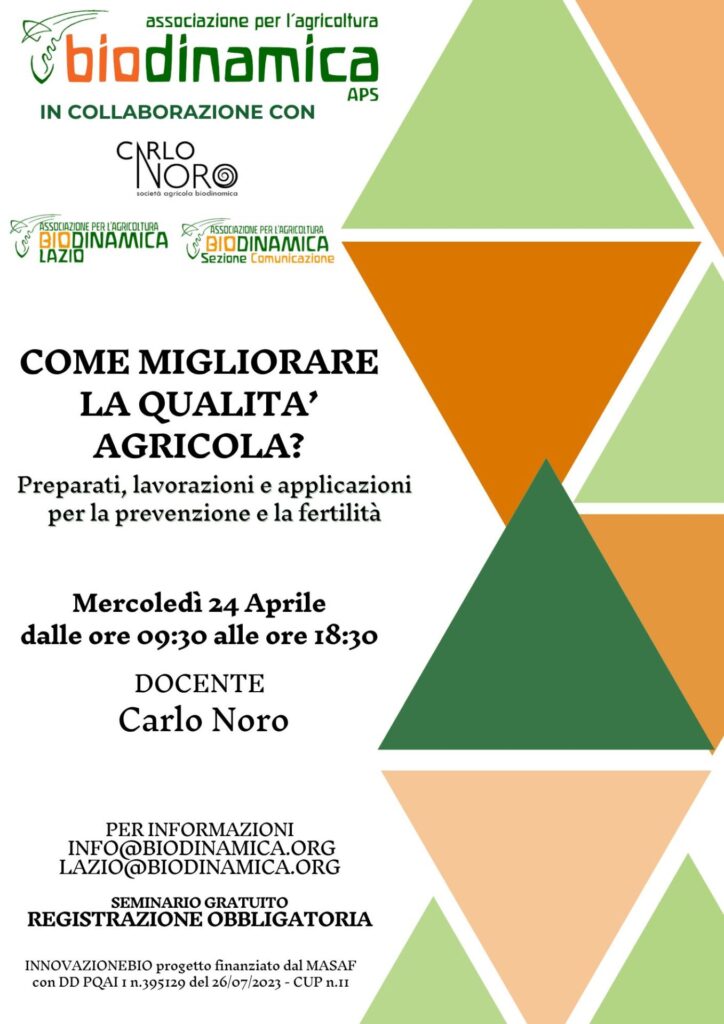 SEMINARIO-NORO
