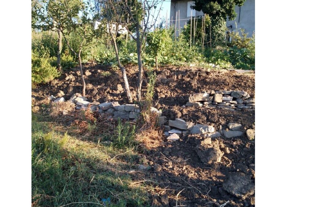 Tiziana seeks help with dry stone walls