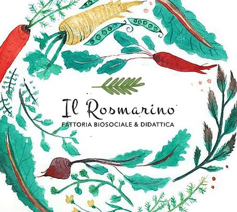 The Il Rosemarino farm seeks help