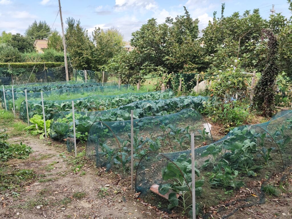 Raduno autunnale 2024 rosmarino marcon nicoletta