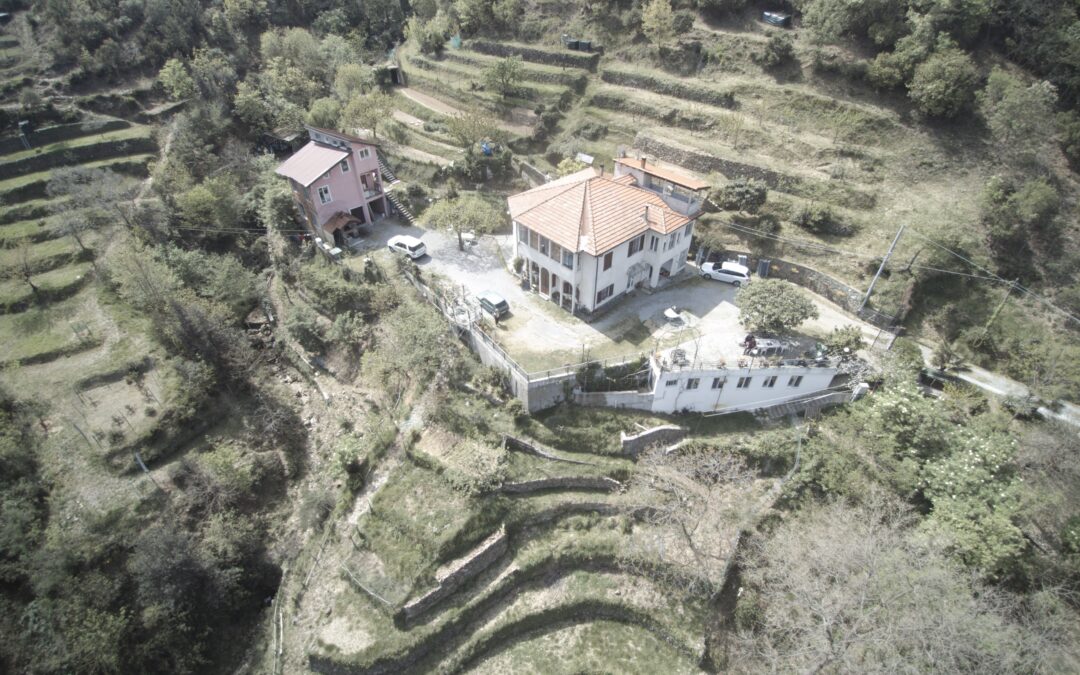 Work camp to restore an olive grove in Savona