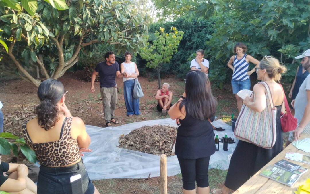Corso di formazione in Agroecologia di Azione TerrAE