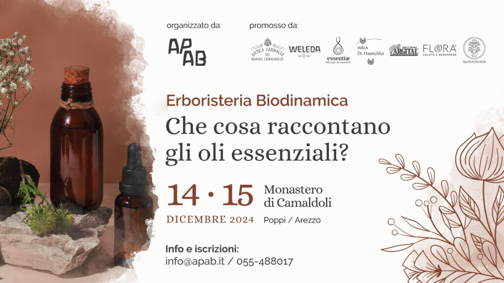 camaldoli-2024-12-fb