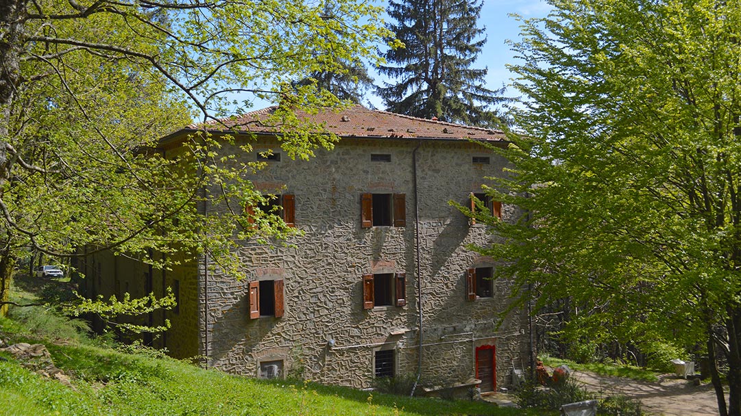 CERCASI ANIME AFFINI PER UN PROGETTO UNICO