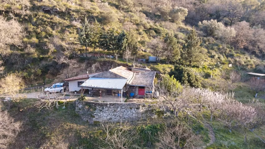 Vittorio seeks housesitter in Sicily