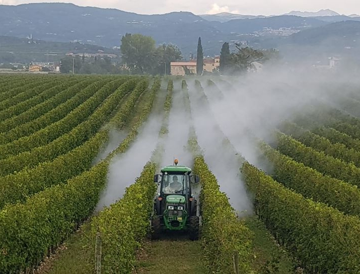 Pan Europe: new petition against pesticides