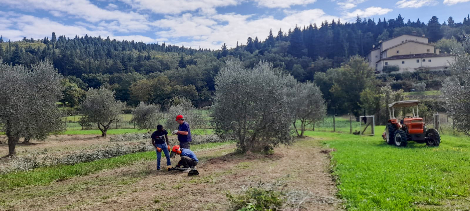 Project R.A.S.TR.E.L.L.O.