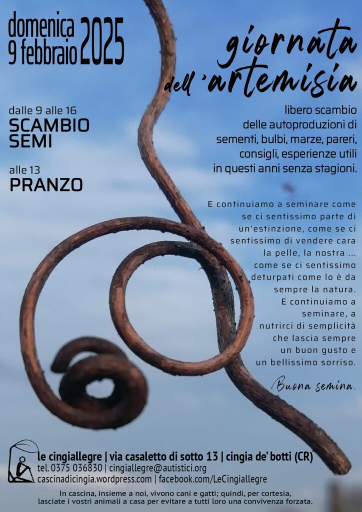 artemisia_cingiallegre_202