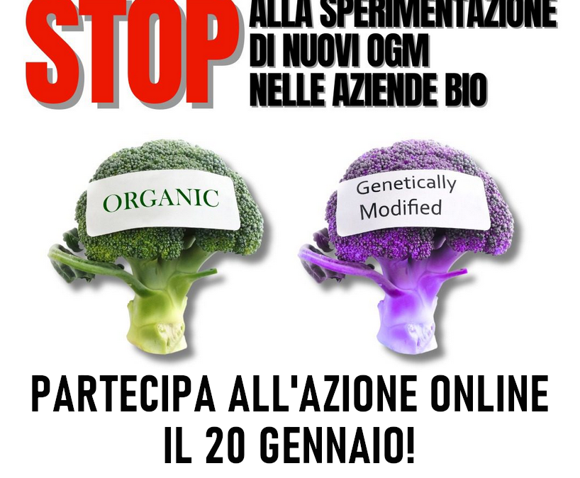 Fermiamo i nuovi OGM! a rischio anche le aziende bio!