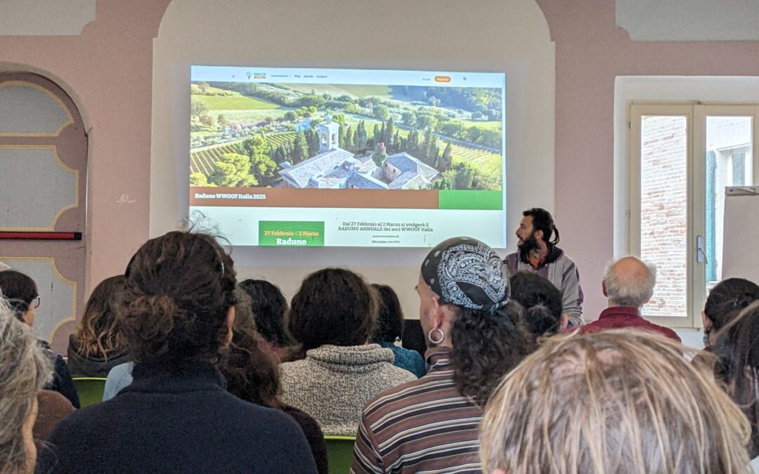 Gathering 2025 – The story