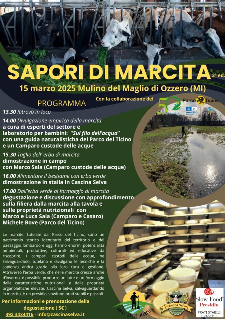 marcita