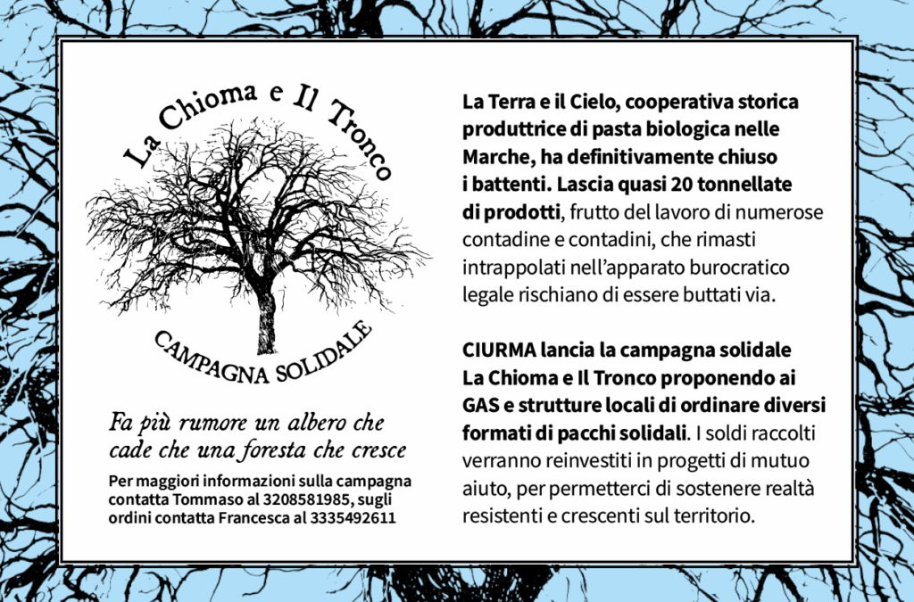 La Chioma e il Tronco