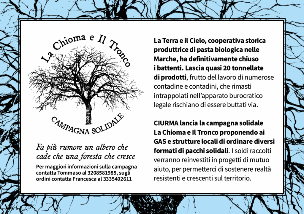 La Chioma e il Tronco