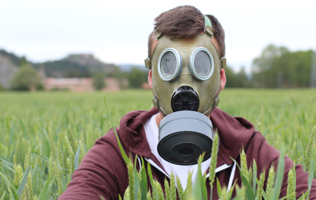 Glifosato nuove prove di tossicità epatica