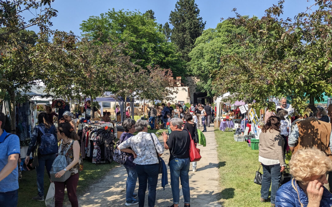 72 Hours for Biodiversity in Scandicci edition 2025