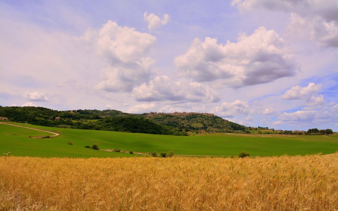 BANCA DELLA TERRA DELLA REGIONE TOSCANA