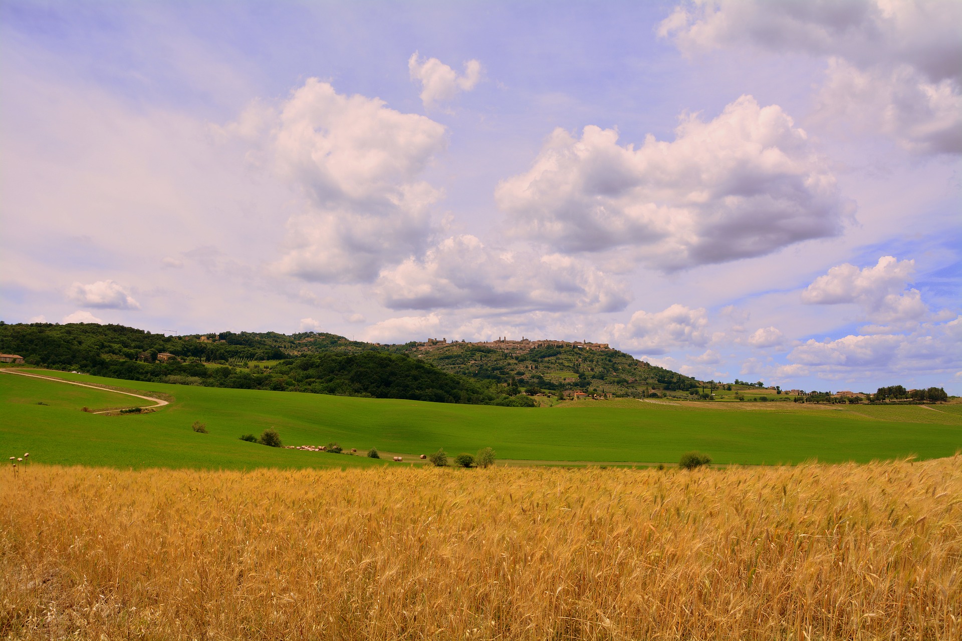 LAND BANK OF THE TUSCAN REGION