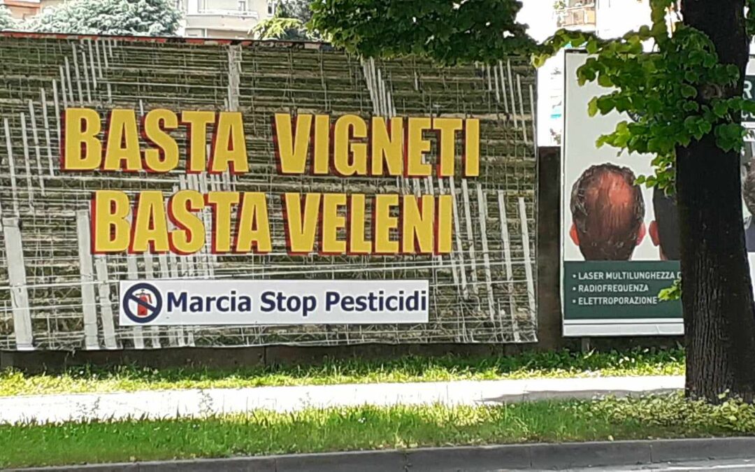 VENETO: BASTA VIGNETI BASTA VELENI !