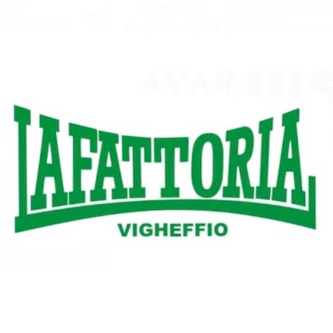 Fattoria di Vigheffio
