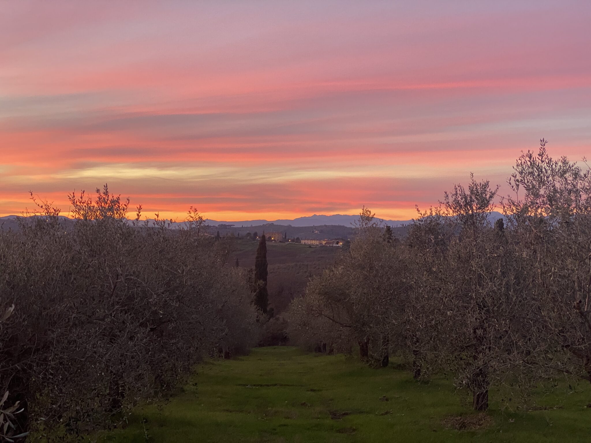 Dalla parte del Lombrico – 11° Compleanno di Mondeggi