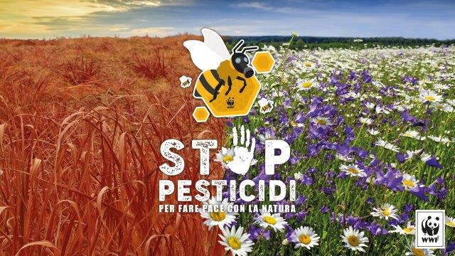 Yet another waiver on pesticides