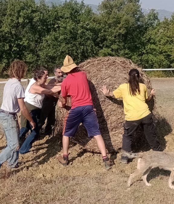 Camp Contadino 2025 at Rassecale